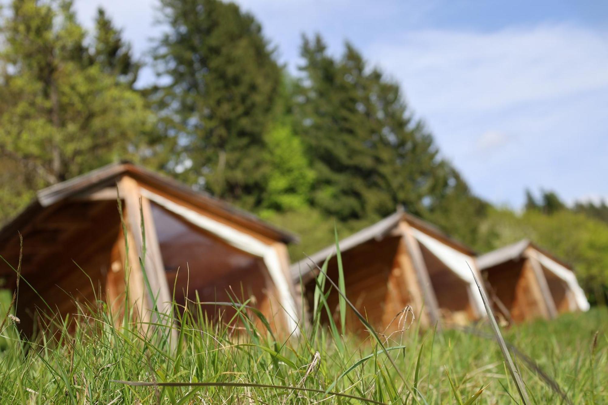 Villa Mountain View Glamping Dovje Exterior foto