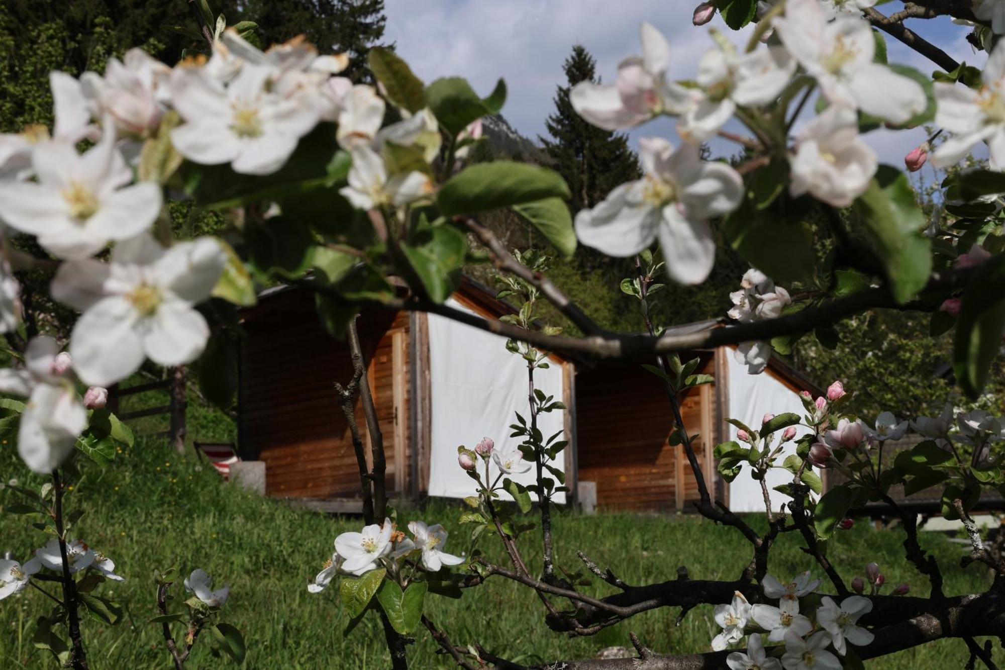 Villa Mountain View Glamping Dovje Exterior foto