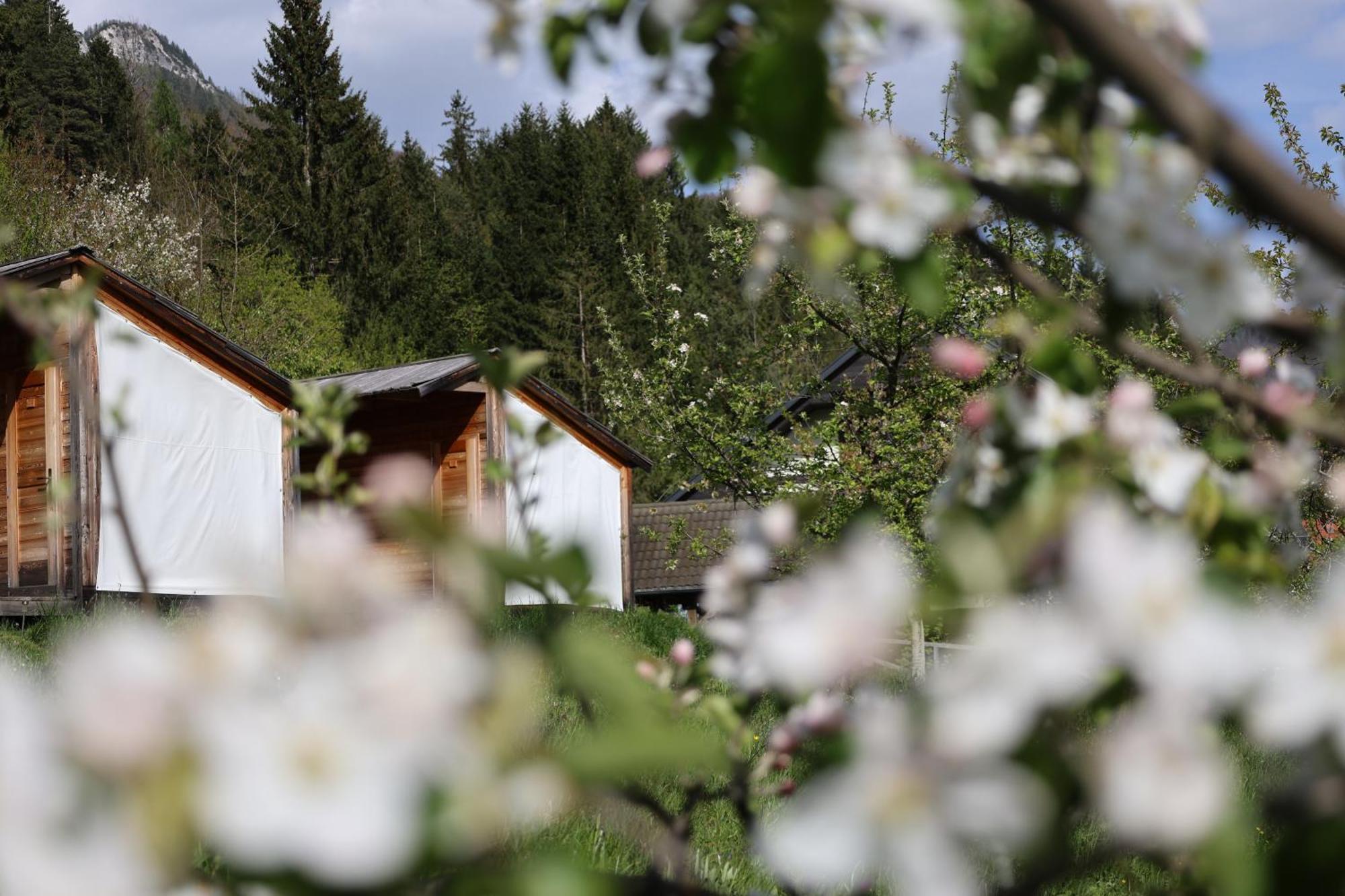 Villa Mountain View Glamping Dovje Exterior foto