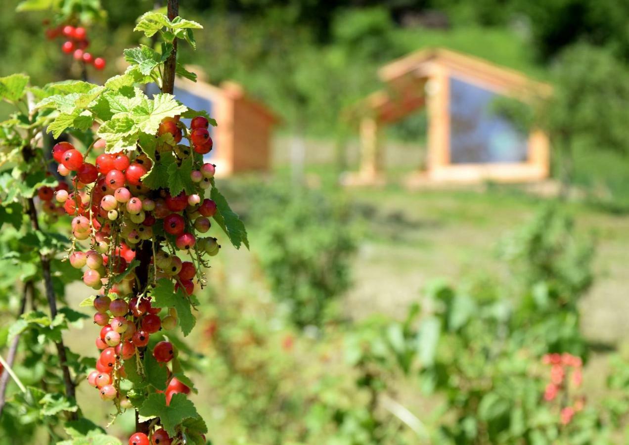 Villa Mountain View Glamping Dovje Exterior foto