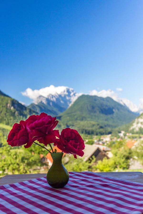 Villa Mountain View Glamping Dovje Exterior foto