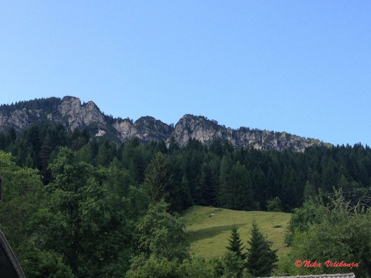 Villa Mountain View Glamping Dovje Exterior foto