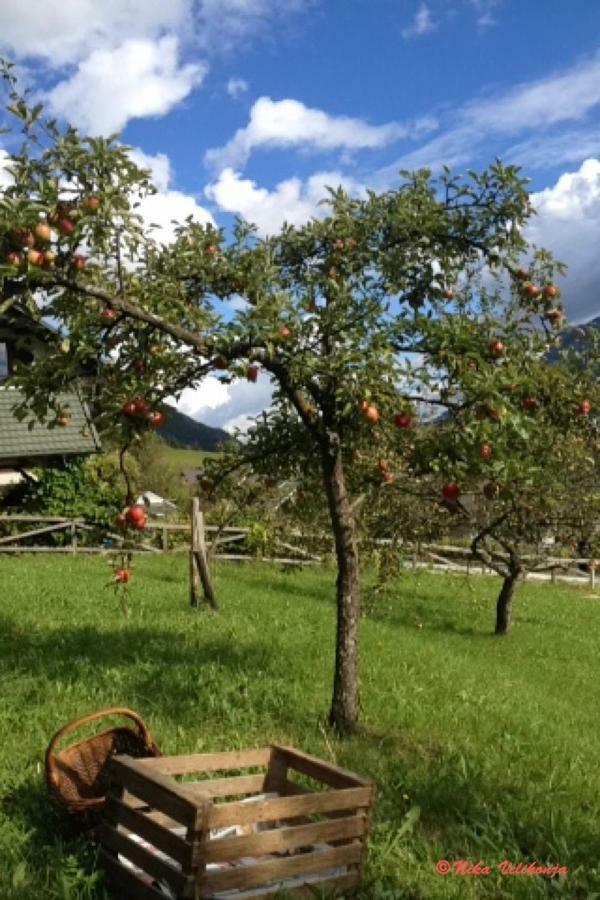 Villa Mountain View Glamping Dovje Exterior foto